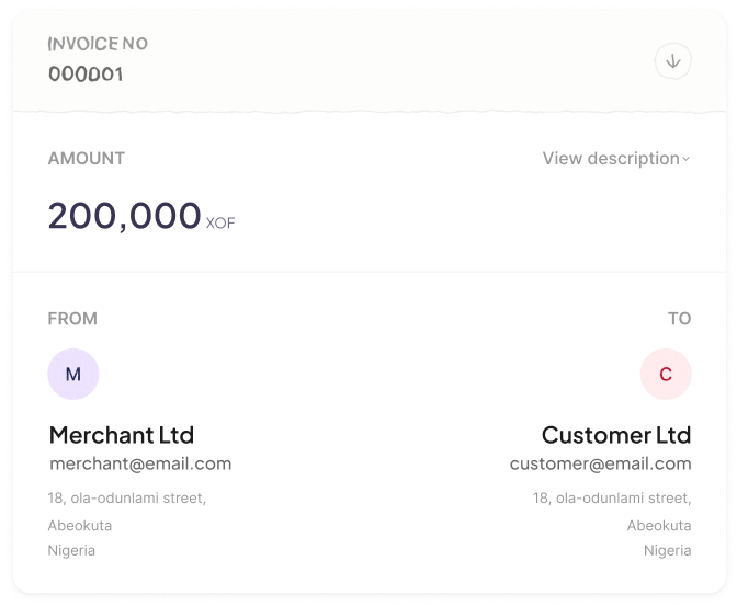 Invoice interface showing billing details